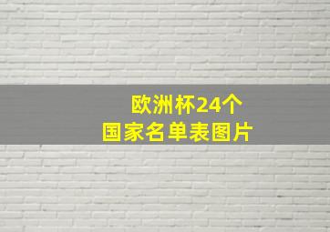 欧洲杯24个国家名单表图片