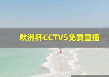 欧洲杯CCTV5免费直播