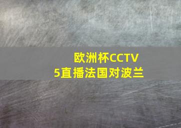 欧洲杯CCTV5直播法国对波兰