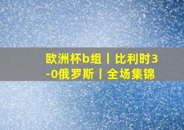 欧洲杯b组丨比利时3-0俄罗斯丨全场集锦