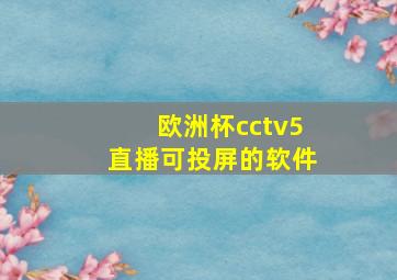 欧洲杯cctv5直播可投屏的软件