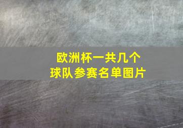 欧洲杯一共几个球队参赛名单图片