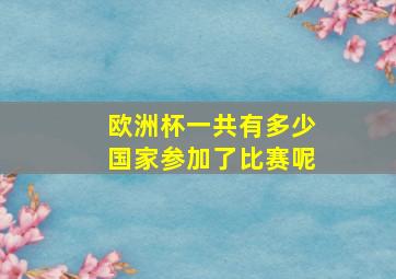 欧洲杯一共有多少国家参加了比赛呢