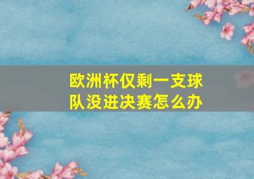 欧洲杯仅剩一支球队没进决赛怎么办