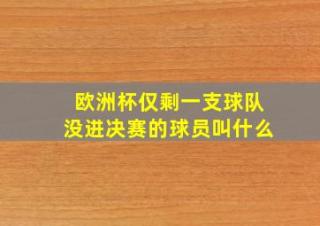 欧洲杯仅剩一支球队没进决赛的球员叫什么