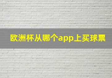 欧洲杯从哪个app上买球票