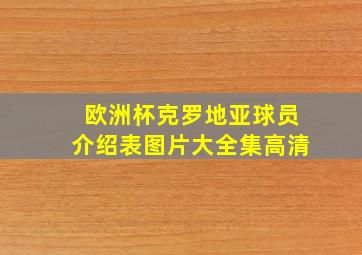 欧洲杯克罗地亚球员介绍表图片大全集高清