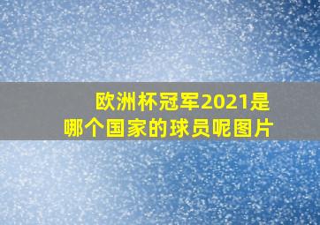 欧洲杯冠军2021是哪个国家的球员呢图片