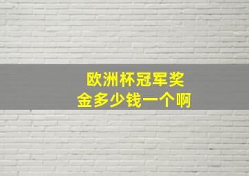 欧洲杯冠军奖金多少钱一个啊