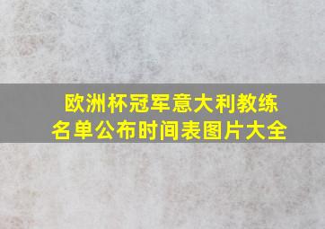 欧洲杯冠军意大利教练名单公布时间表图片大全