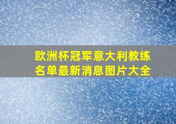 欧洲杯冠军意大利教练名单最新消息图片大全