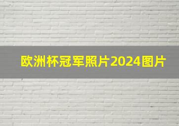 欧洲杯冠军照片2024图片