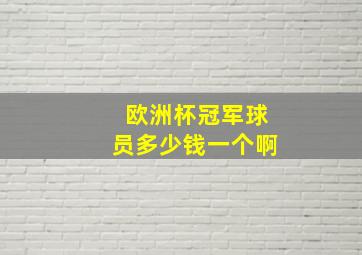 欧洲杯冠军球员多少钱一个啊