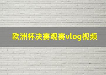 欧洲杯决赛观赛vlog视频