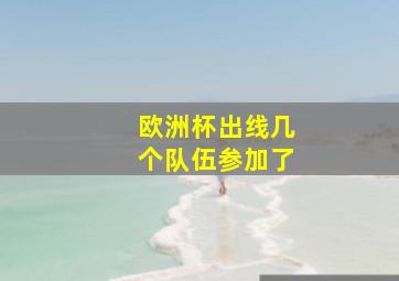 欧洲杯出线几个队伍参加了