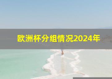 欧洲杯分组情况2024年