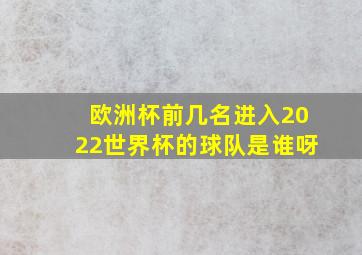 欧洲杯前几名进入2022世界杯的球队是谁呀