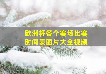 欧洲杯各个赛场比赛时间表图片大全视频