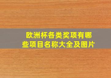 欧洲杯各类奖项有哪些项目名称大全及图片