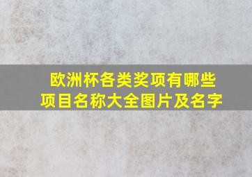 欧洲杯各类奖项有哪些项目名称大全图片及名字