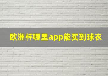 欧洲杯哪里app能买到球衣