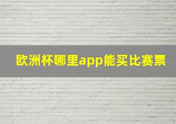 欧洲杯哪里app能买比赛票