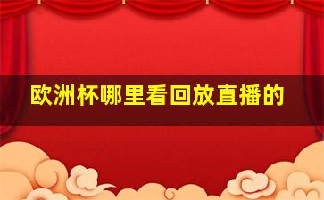 欧洲杯哪里看回放直播的