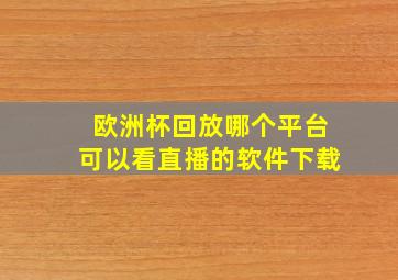 欧洲杯回放哪个平台可以看直播的软件下载