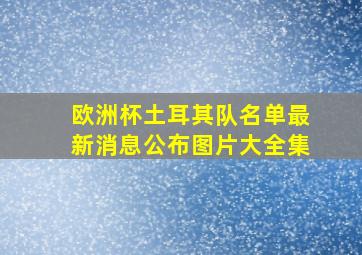 欧洲杯土耳其队名单最新消息公布图片大全集