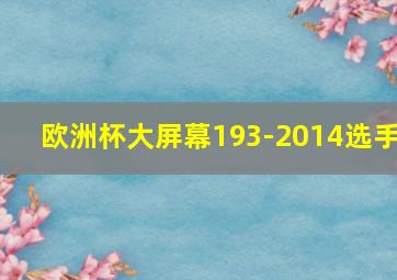 欧洲杯大屏幕193-2014选手