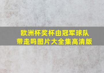 欧洲杯奖杯由冠军球队带走吗图片大全集高清版