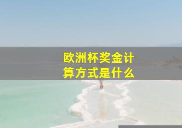 欧洲杯奖金计算方式是什么