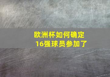 欧洲杯如何确定16强球员参加了