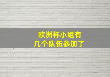 欧洲杯小组有几个队伍参加了