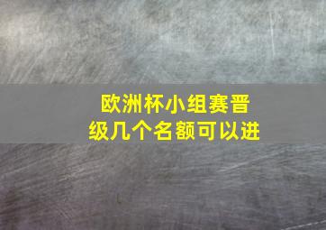 欧洲杯小组赛晋级几个名额可以进