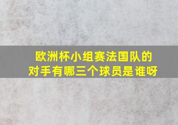 欧洲杯小组赛法国队的对手有哪三个球员是谁呀