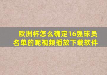 欧洲杯怎么确定16强球员名单的呢视频播放下载软件