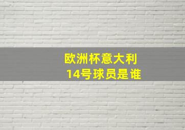 欧洲杯意大利14号球员是谁