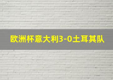 欧洲杯意大利3-0土耳其队