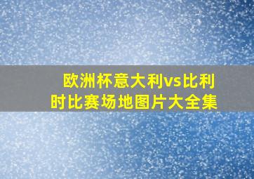 欧洲杯意大利vs比利时比赛场地图片大全集