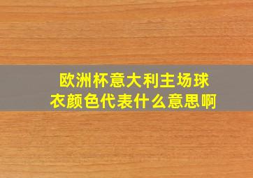 欧洲杯意大利主场球衣颜色代表什么意思啊