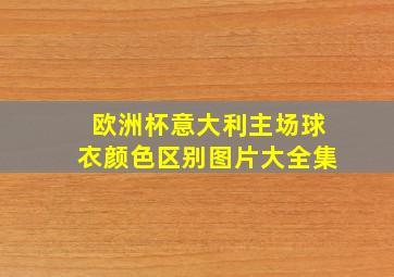 欧洲杯意大利主场球衣颜色区别图片大全集