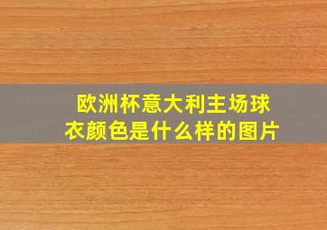 欧洲杯意大利主场球衣颜色是什么样的图片