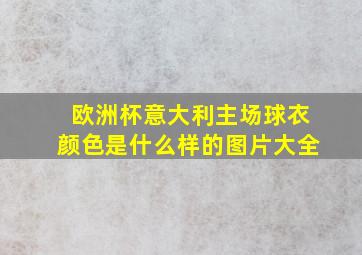 欧洲杯意大利主场球衣颜色是什么样的图片大全