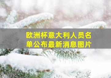 欧洲杯意大利人员名单公布最新消息图片