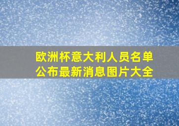 欧洲杯意大利人员名单公布最新消息图片大全