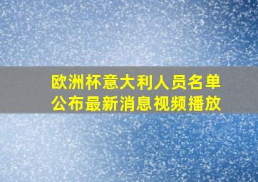 欧洲杯意大利人员名单公布最新消息视频播放