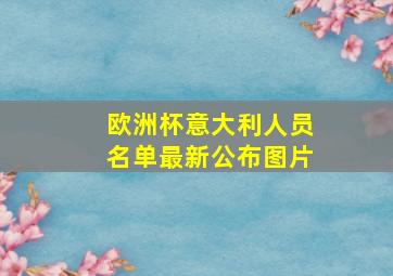 欧洲杯意大利人员名单最新公布图片