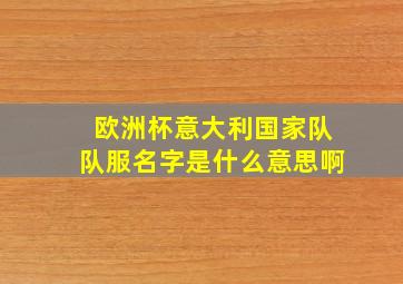 欧洲杯意大利国家队队服名字是什么意思啊