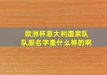 欧洲杯意大利国家队队服名字是什么样的啊